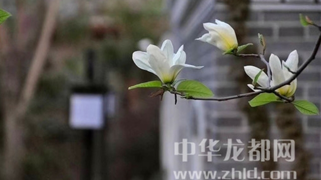 淮陽(yáng)蓮舍，多了一份味道